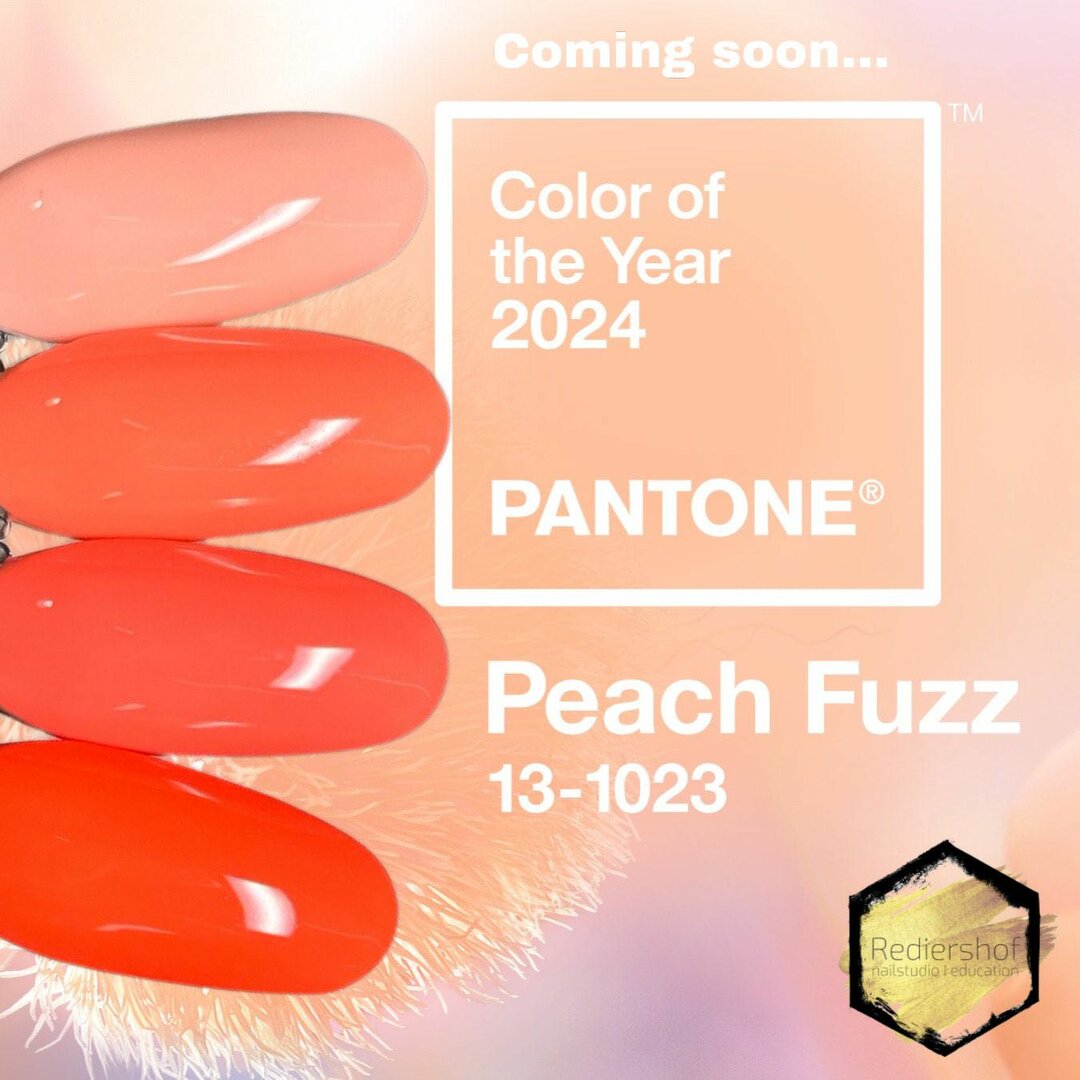 RD Peach Fuzz Rediershof